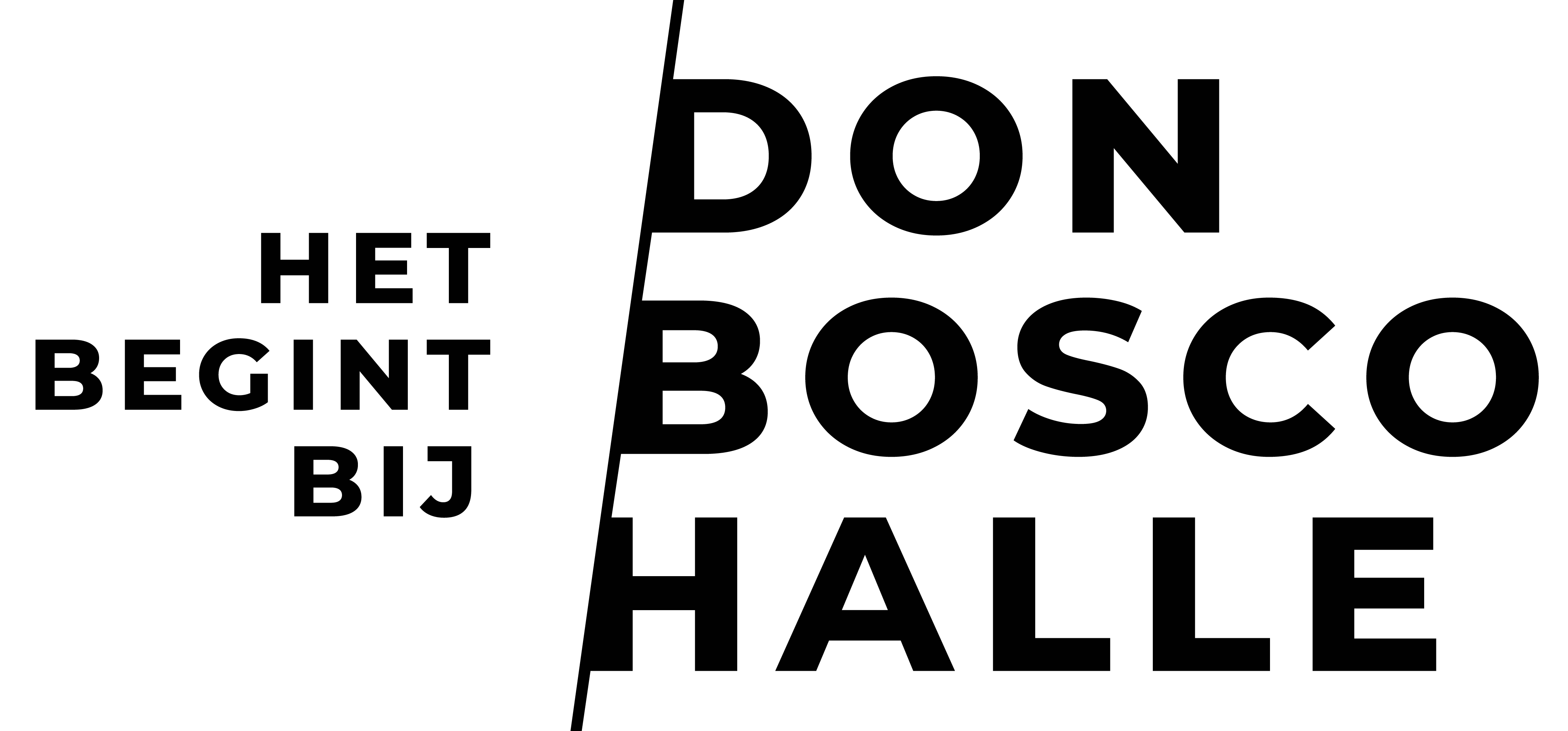 Logo Don Bosco Halle